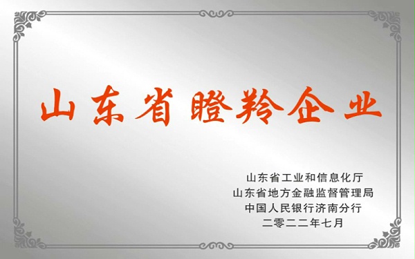 青岛中新华美塑料有限公司荣获2022年山东省瞪羚企业