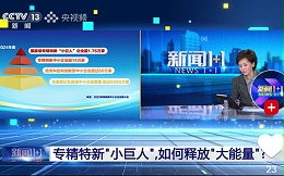 央视聚焦“专精特新”企业 :青岛中新华美深耕改性塑料29 年，解锁机器人、无人机领域增长密码