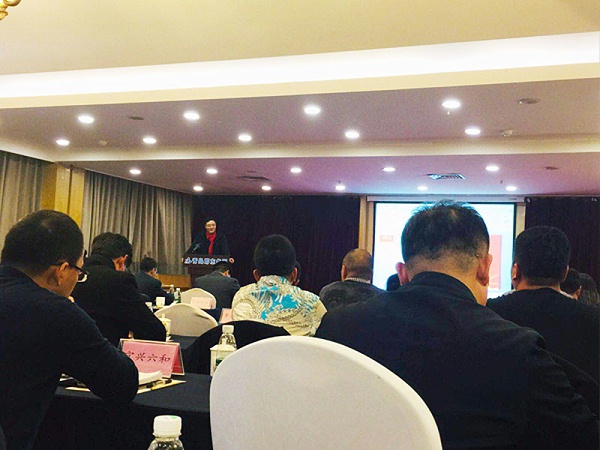 青岛中新华美塑料有限公司总经理王东先生在会议厅发表演讲