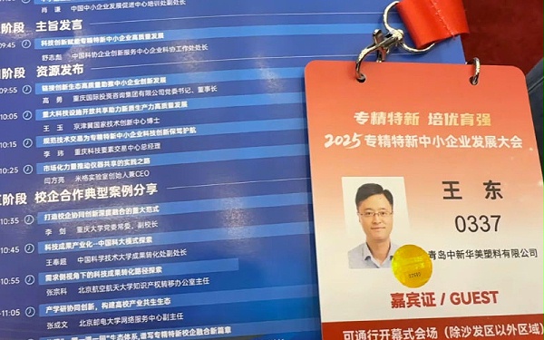 参加2025专精特新中小企业发展大会