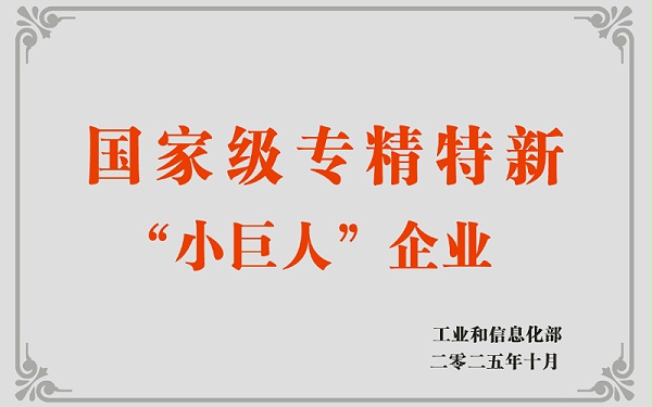 专精特新小巨人企业