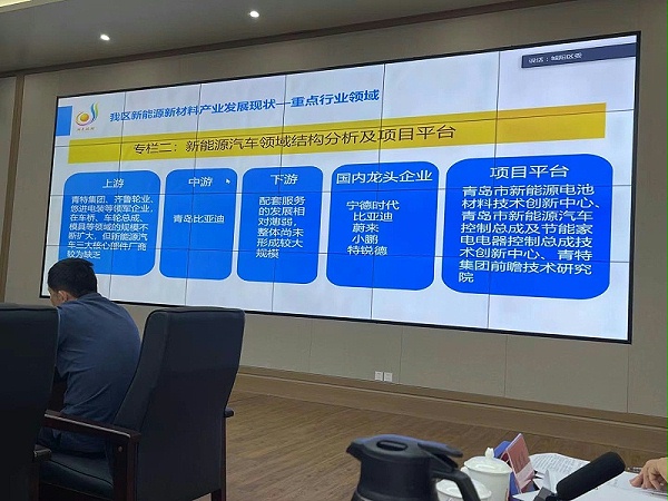 新能源汽车领域结构分析及项目平台
