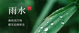 雨水|愿您此春安康如意