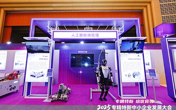 专精特新中小企业发展成果展